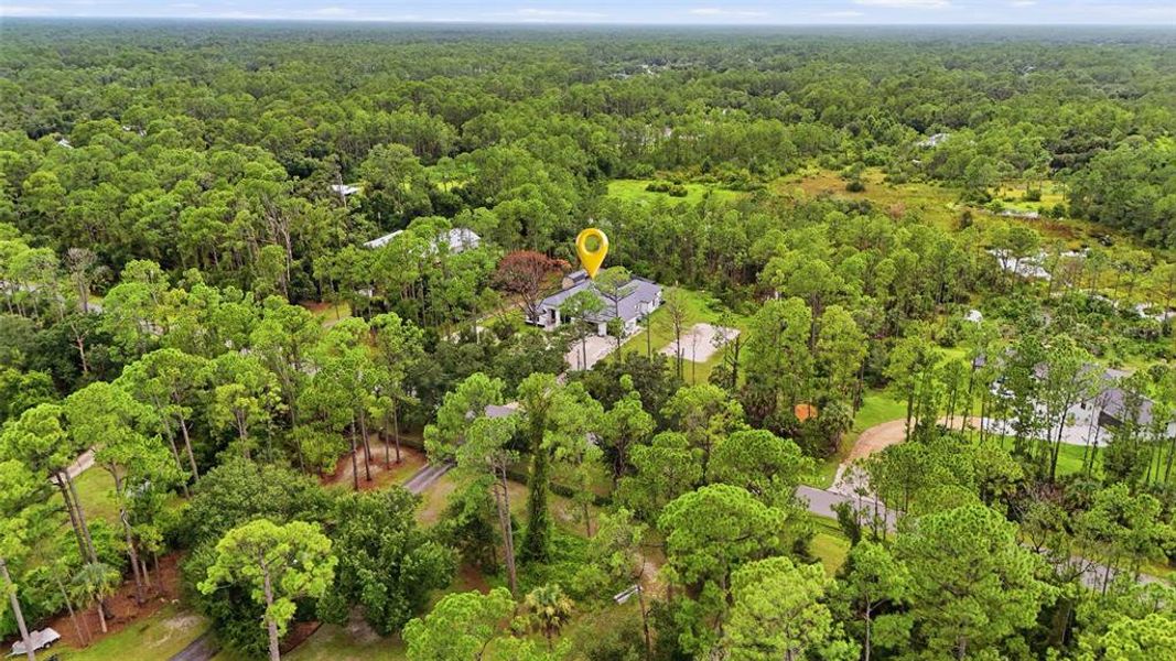Natural landscape and outdoor views near  in North Port (Image 45).