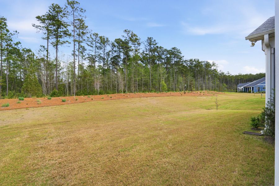 Exterior details and patio area of a home in Summerwind Crossing at Lakes of Cane Bay, Summerville (Image 27).
