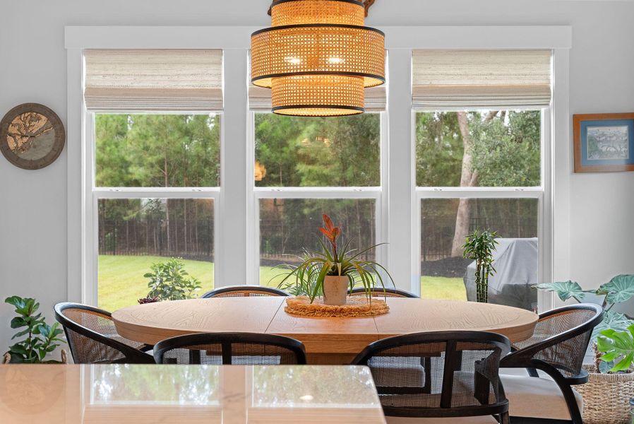 Furnished interior view inside a new home in Sea Island Preserve, Johns Island (Image 43).