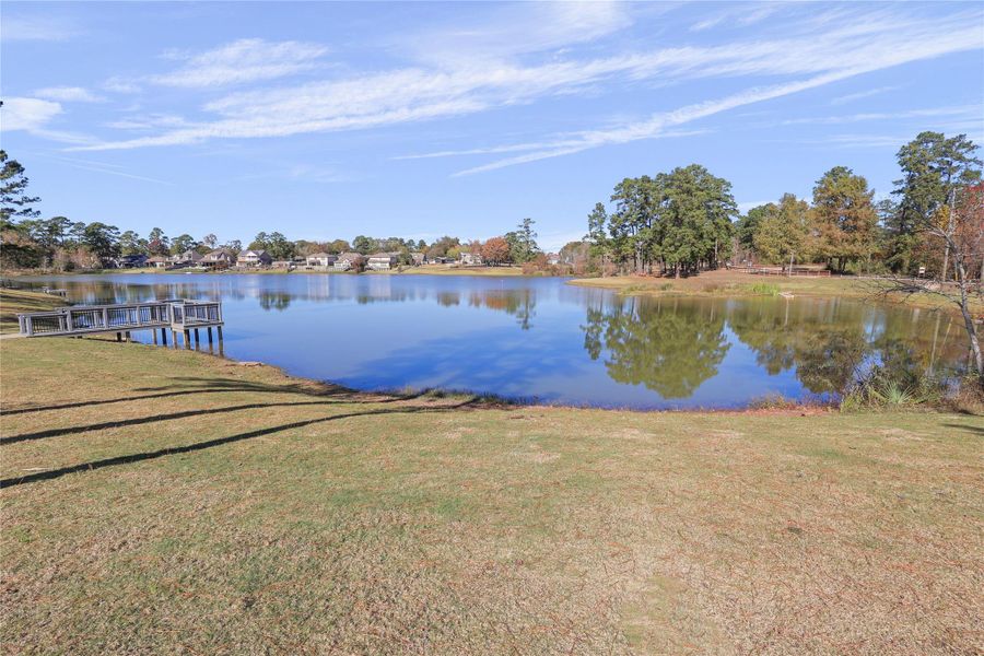 Natural landscape and outdoor views near Hills of Westlake in Conroe (Image 25).