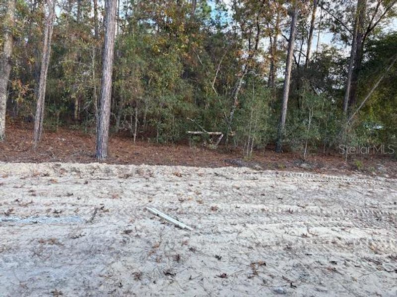 Exterior details and patio area of a home in , Dunnellon (Image 4). Exterior details and patio area of a home in , Dunnellon (Image 4).