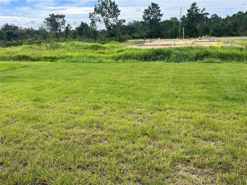Natural landscape and outdoor views near  in Sebring (Image 7).