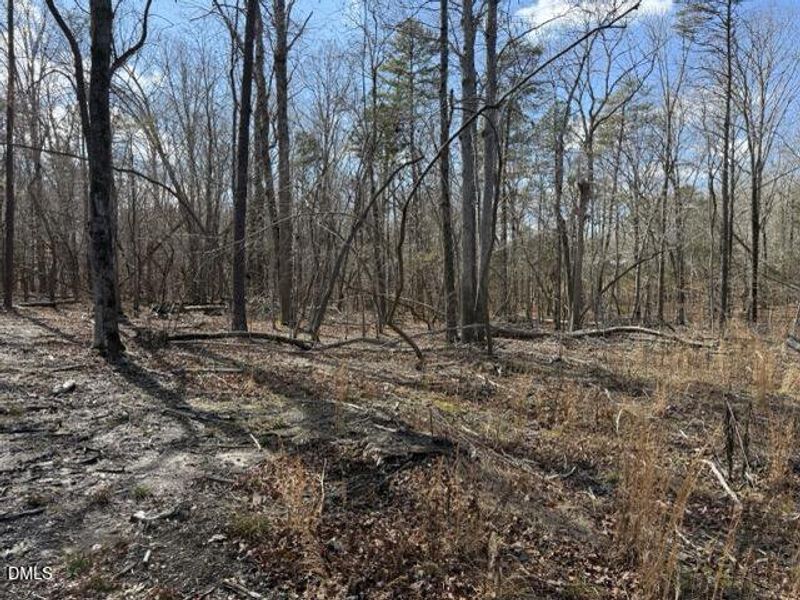 IMG_3257 Medium IMG_3257 Medium