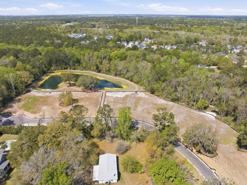 Site preparation for new homesites in Liberty Hill Farm, Mount Pleasant (Image 10).