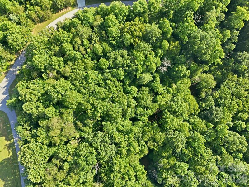 Natural landscape and outdoor views near in Hendersonville (Image 17). Natural landscape and outdoor views near in Hendersonville (Image 17).