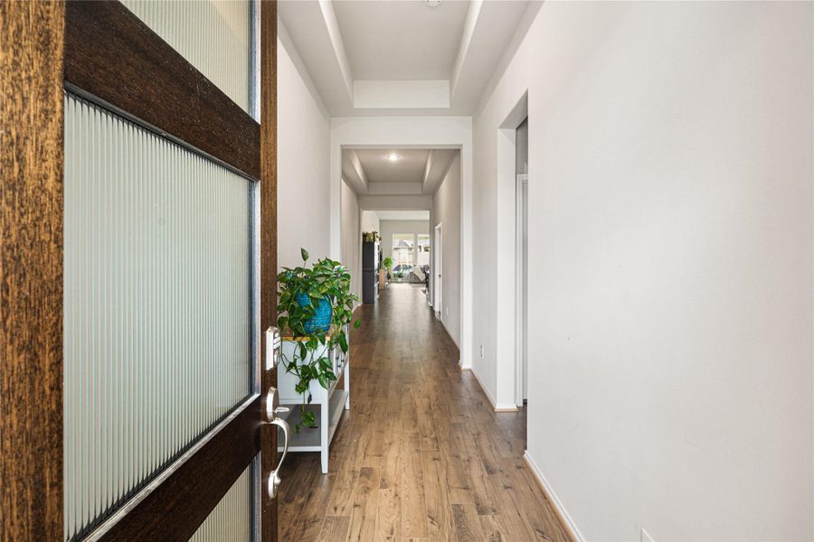 Expansive Entry with Tray Ceilings