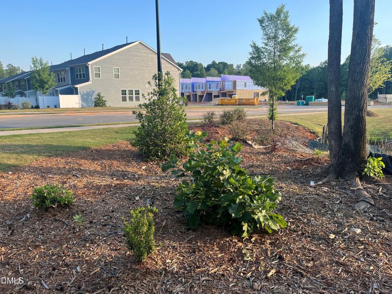 landscaping and sidewalks landscaping and sidewalks