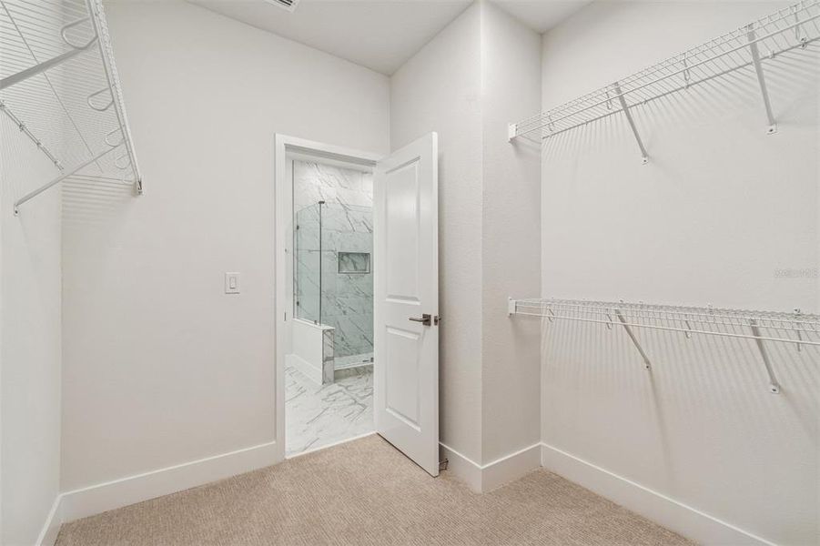 Spacious, unfurnished interior of a new home in Apex at Seminole Heights, Tampa (Image 18).