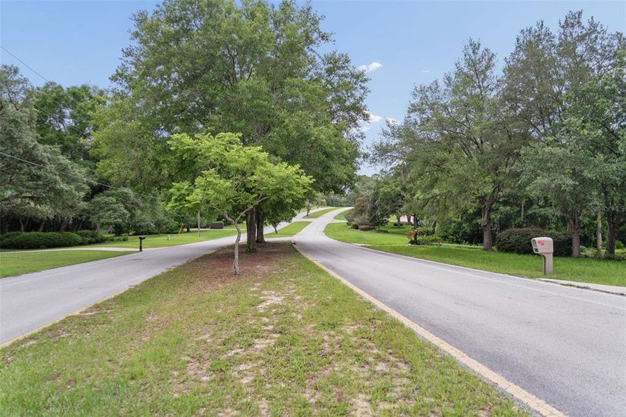 Natural landscape and outdoor views near  in Beverly Hills (Image 37).