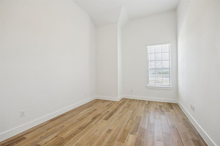 4-112Swan_008 4-112Swan_008