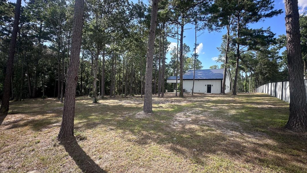 Natural landscape and outdoor views near  in Navasota (Image 23).