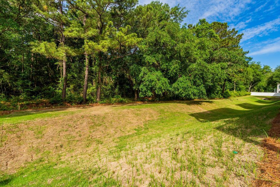 Natural landscape and outdoor views near Overlook at Copahee Sound in Awendaw (Image 42). Natural landscape and outdoor views near Overlook at Copahee Sound in Awendaw (Image 42).