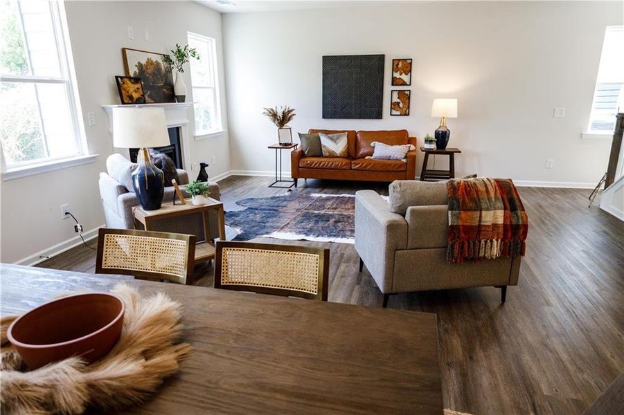 Furnished interior view inside a new home in Castleberry Pointe, Dawsonville (Image 14).