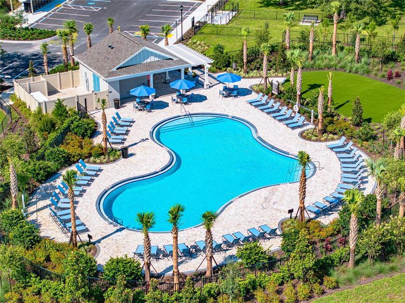 Community amenities in Palm Wind, Hudson (Image 23).