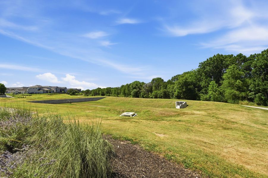 Natural landscape and outdoor views near Loyola in Austin (Image 33).