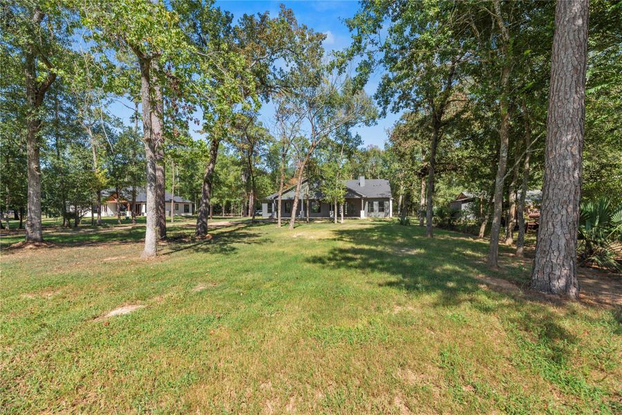 Natural landscape and outdoor views near in Magnolia (Image 44). Natural landscape and outdoor views near in Magnolia (Image 44).