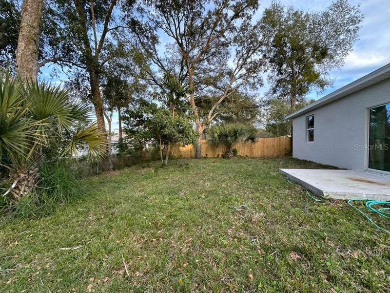 Natural landscape and outdoor views near  in Apopka (Image 27).