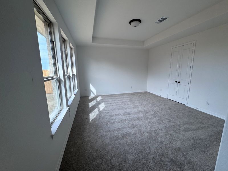 Progress Photo - Primary Bedroom