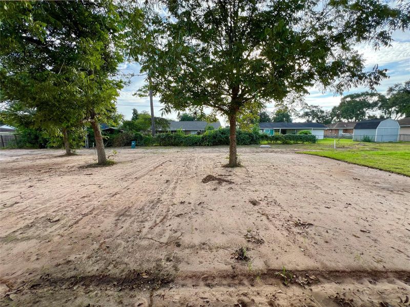 Natural landscape and outdoor views near  in Angleton (Image 17).
