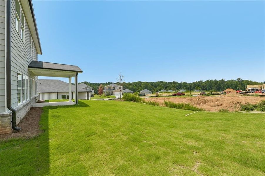 Exterior details and patio area of a home in Preserve at Mountain Creek, Pendergrass (Image 23).