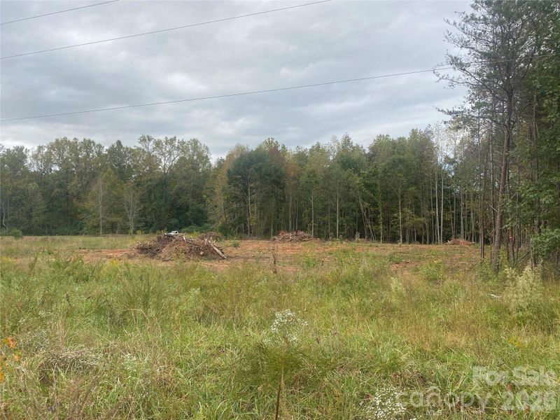 Natural landscape and outdoor views near  in Forest City (Image 10).