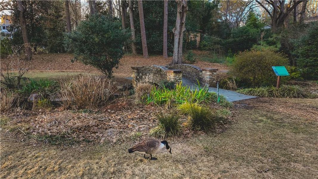 Natural landscape and outdoor views near  in Atlanta (Image 52).