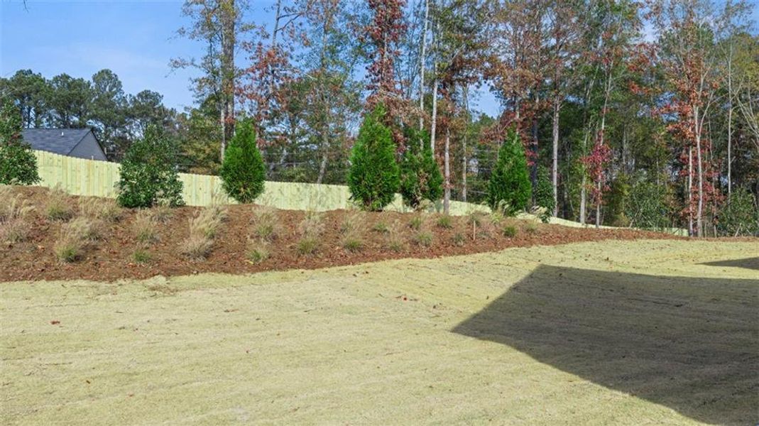Natural landscape and outdoor views near Willowbrook in Winder (Image 25).