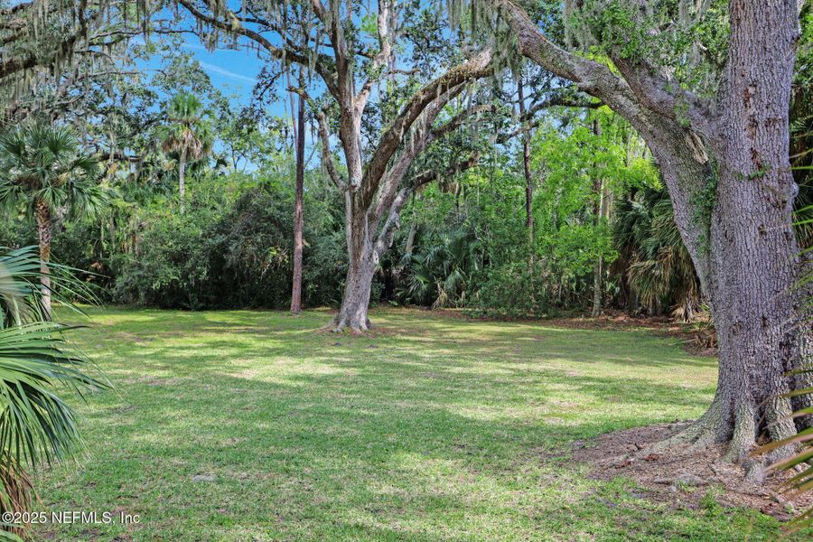 Natural landscape and outdoor views near The Hammock at Palm Harbor in Palm Coast (Image 37).