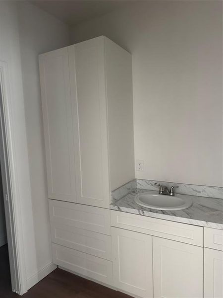 Primary Bathroom featuring vanity and dark wood-type flooring