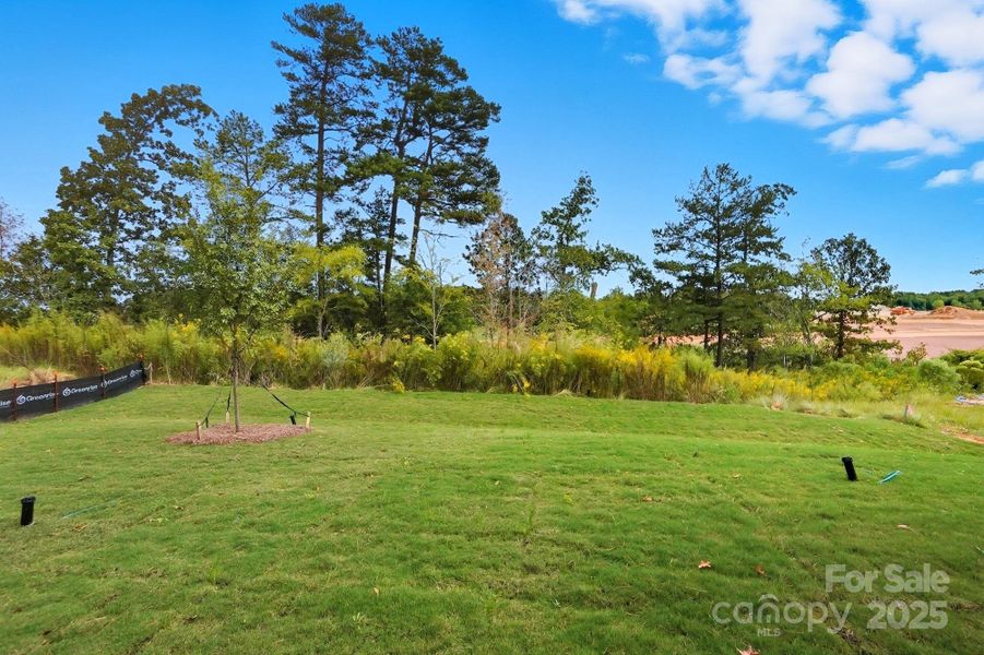 Natural landscape and outdoor views near Waxhaw Landing in Monroe (Image 44). Natural landscape and outdoor views near Waxhaw Landing in Monroe (Image 44).