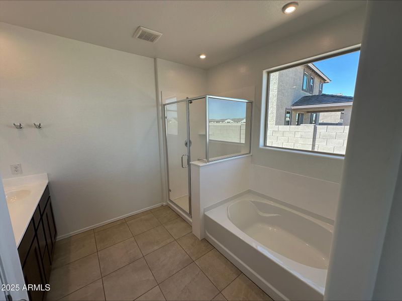 Primary bath 1 Primary bath 1