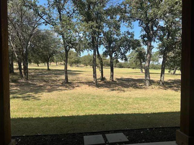 View of green lawn View of green lawn