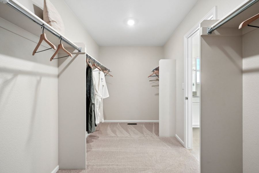 Image 33 representing the Summit by Taylor Morrison in Lake Bluff, Greeley, CO.