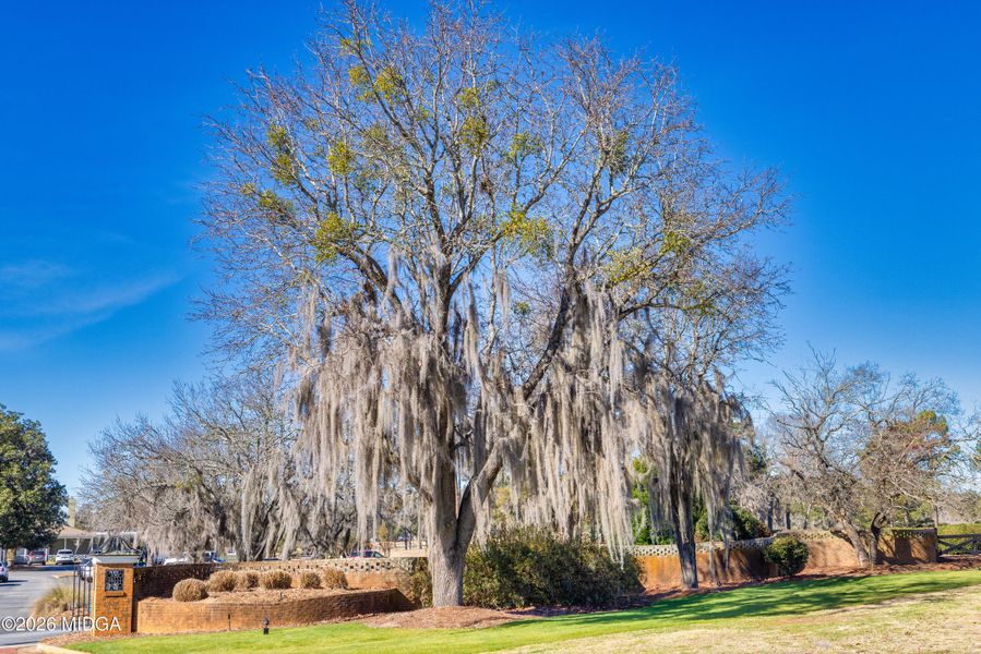 Natural landscape and outdoor views near Langston Place in Perry (Image 40).