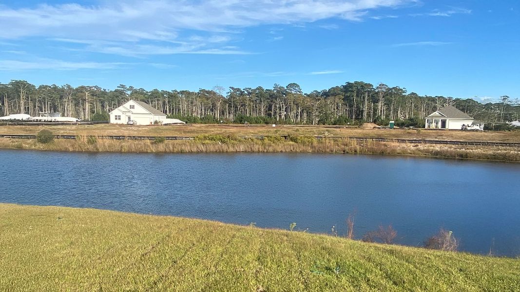 Natural landscape and outdoor views near Stanbury Creek in Supply (Image 11).