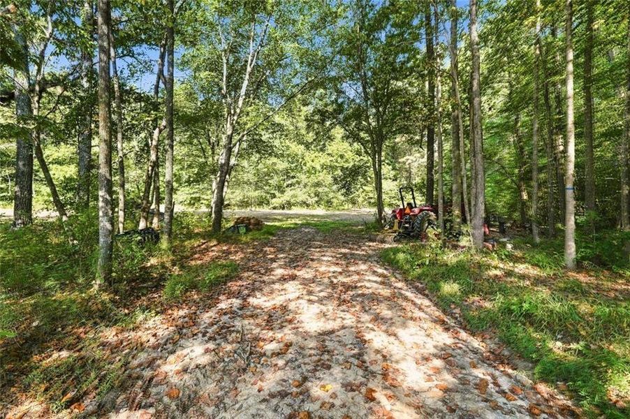 Natural landscape and outdoor views near  in Canton (Image 64).