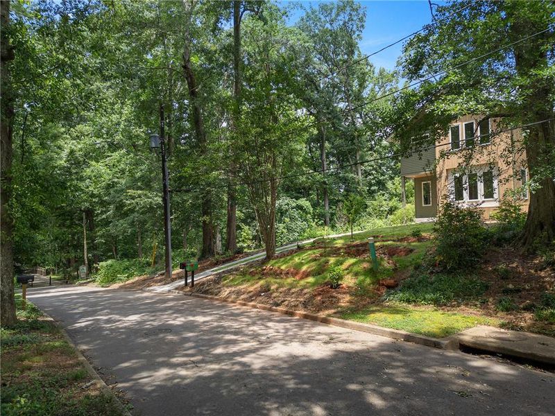 Natural landscape and outdoor views near  in Decatur (Image 56).