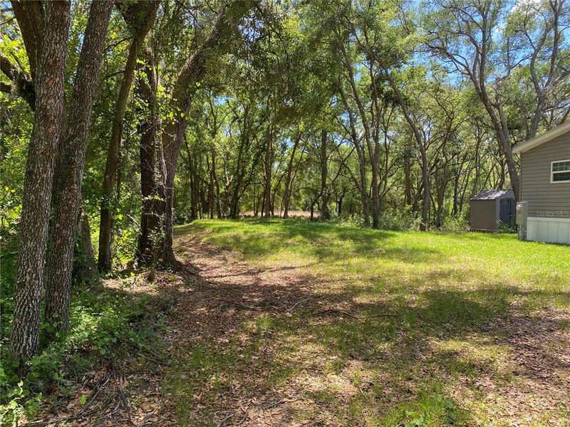 Natural landscape and outdoor views near  in Webster (Image 27).