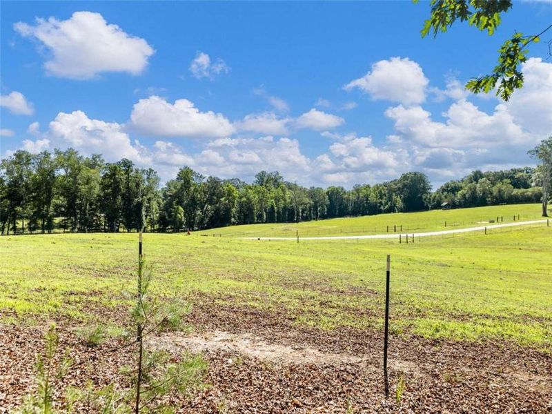 Natural landscape and outdoor views near in Cleveland (Image 43). Natural landscape and outdoor views near in Cleveland (Image 43).