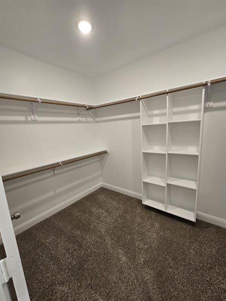 Spacious closet with dark carpet