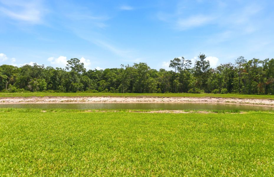 Natural landscape and outdoor views near Del Webb River Reserve in Spring Hill (Image 20).