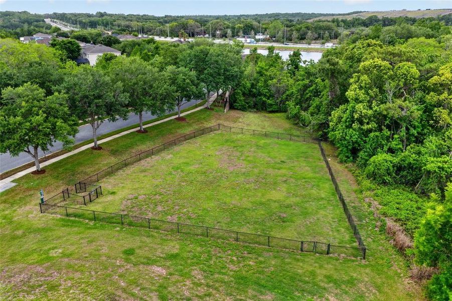 Natural landscape and outdoor views near Summerbrooke in Mount Dora (Image 58).
