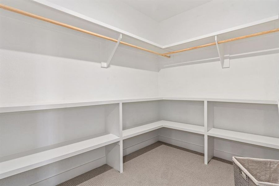 Spacious closet featuring light carpet