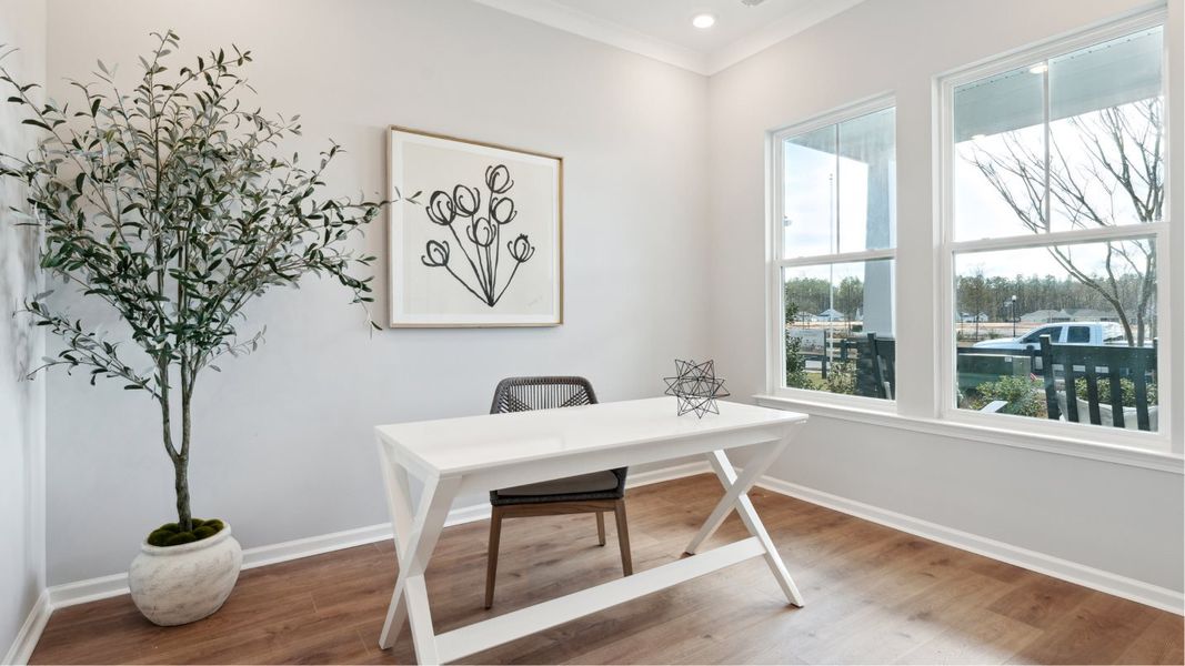 Lily office Lily office