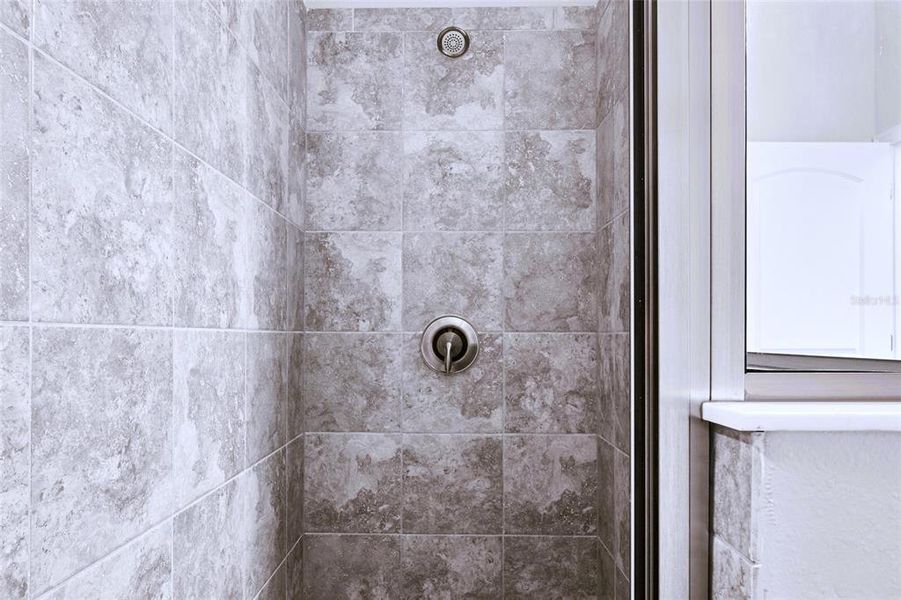 Shower in Hall Bathroom