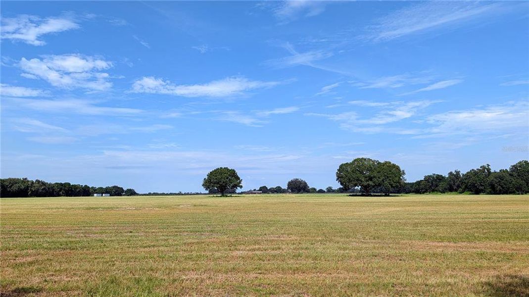 Natural landscape and outdoor views near  in Wauchula (Image 51).
