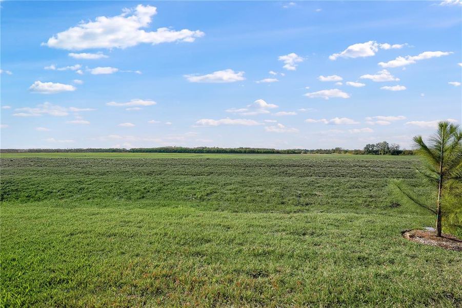 Natural landscape and outdoor views near Rye Ranch in Parrish (Image 33). Natural landscape and outdoor views near Rye Ranch in Parrish (Image 33).