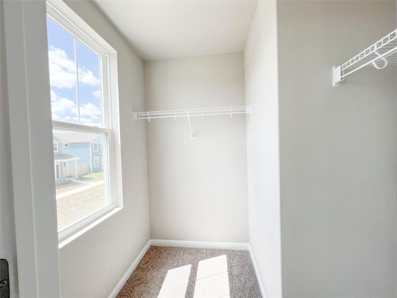 Spacious closet featuring light colored carpet