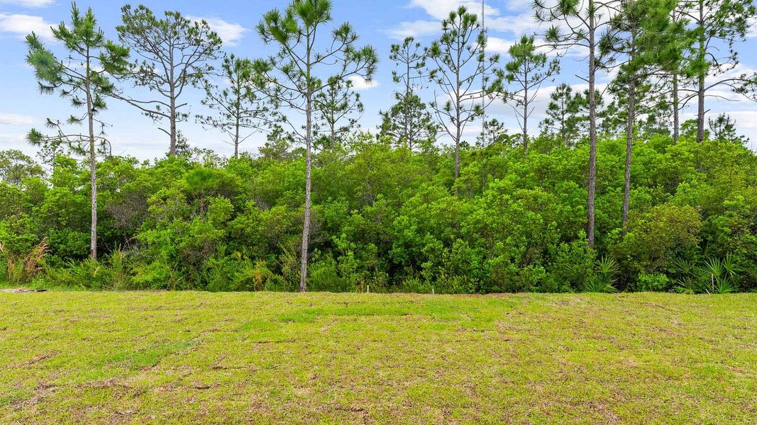 Natural landscape and outdoor views near Palmetto Bluff in Port Saint Joe (Image 30).