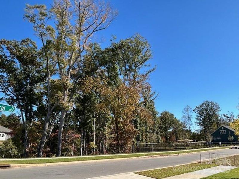 VIEW FROM THE FRONT PORCH WILL NOT CHANGE AS IT IS A DESIGNATED AREA